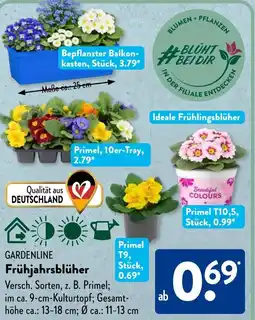 Aldi Süd GARDENLINE Frühjahrsblüher Angebot