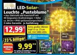 Norma LED-Solar-Leuchte „Pusteblume“ Angebot