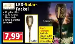 Norma LED-Solar- Fackel Angebot