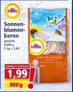 Norma Sonnenblumenkerne Angebot