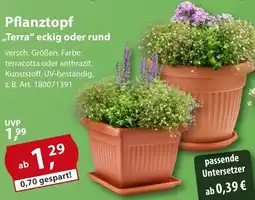Sonderpreis Baumarkt Pflanztopf ,,Terra" eckig oder rund Angebot