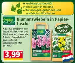 Norma Blumenzwiebeln in Papiertasche Angebot