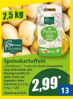 Norma Speisekartoffeln Angebot