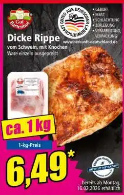Norma Dicke Rippe Angebot