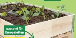 Thomas Philipps Holz Hochbeetrahmen Angebot