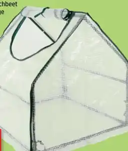 Thomas Philipps Grüner Jan Mini-Gewächshaus-Set Angebot