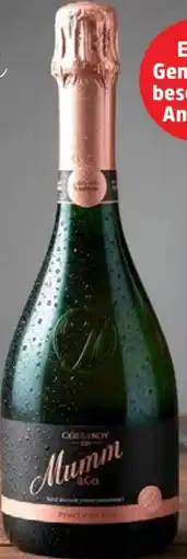 Thomas Philipps Mumm & Co. Godefroy Pinot Noir Rosé Dry Angebot