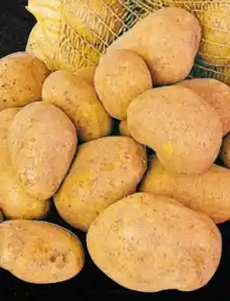 Thomas Philipps Speisekartoffeln Angebot