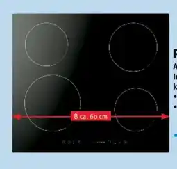 Trends Möbel Premiere Küchengeräte Autark-Induktionskochfeld 354030 Angebot