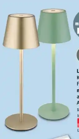 Trends Möbel LED-Tischleuchte Tila Angebot