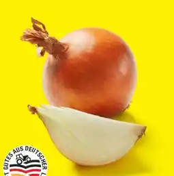 Lidl Gelbe Zwiebeln Angebot