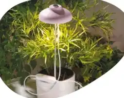 Rossmann Rossmann Ideenwelt LED-Pflanzen Lampe Angebot