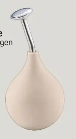 Rossmann Rossmann Ideenwelt Pflanzenbrause Angebot