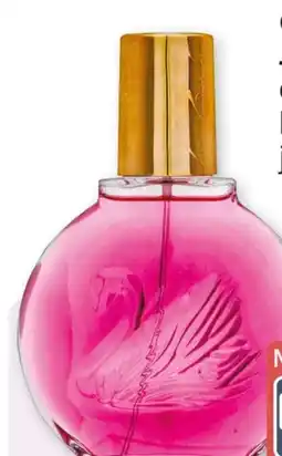 Rossmann Gloria Vanderbilt Minuit a NY EdP Angebot