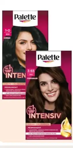 Rossmann Palette Intensive-Creme-Coloration Angebot