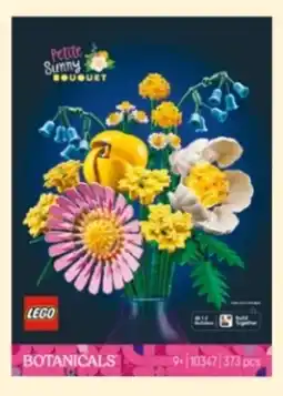 Rossmann LEGO Botanicals Kleiner Sommerstrauß 10347 Angebot