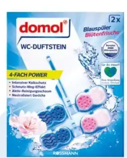 Rossmann Domol WC-Duftsteine Angebot
