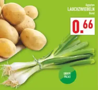 Marktkauf LAUCHZWIEBELN Angebot