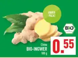 Marktkauf BIO-INGWER Angebot