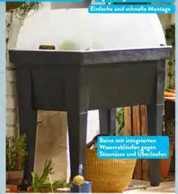 Aldi Süd Belavi Maxi-Hochbeet Angebot