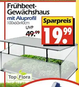 Wreesmann Top flora frühbeet-gewächshaus Angebot