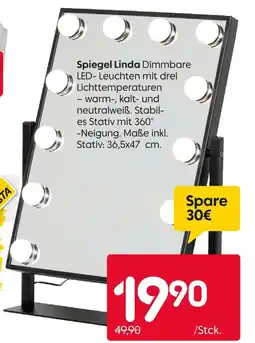 Rusta Spiegel linda Angebot