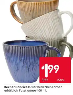 Rusta Becher caprice Angebot