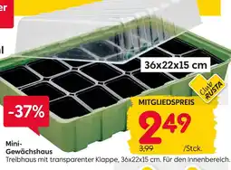 Rusta Mini-gewächshaus Angebot