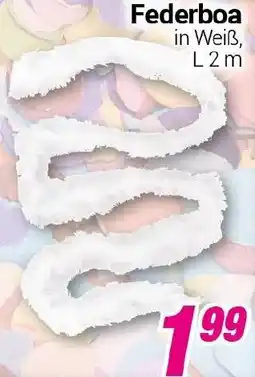 CENTERSHOP Federboa in Weiß Angebot