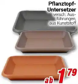 CENTERSHOP Pflanztopf Untersetzer Angebot