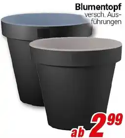 CENTERSHOP Blumentopf Angebot