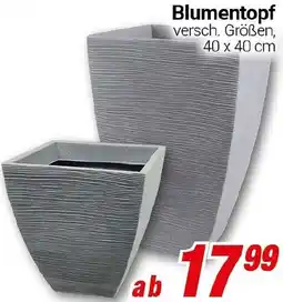 CENTERSHOP Blumentopf Angebot