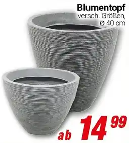 CENTERSHOP Blumentopf Angebot