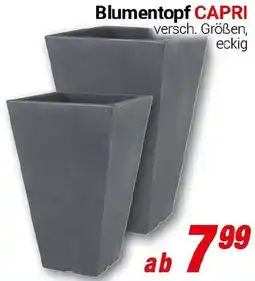 CENTERSHOP Blumentopf CAPRI Angebot