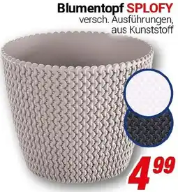 CENTERSHOP Blumentopf SPLOFY Angebot