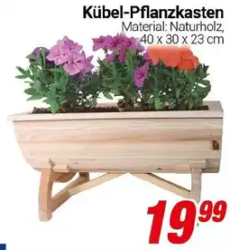 CENTERSHOP Kübel-Pflanzkasten Angebot