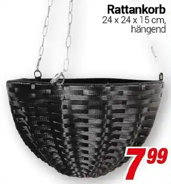 CENTERSHOP Rattankorb Angebot