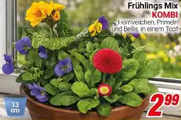 CENTERSHOP Frühlings Mix KOMBI Angebot