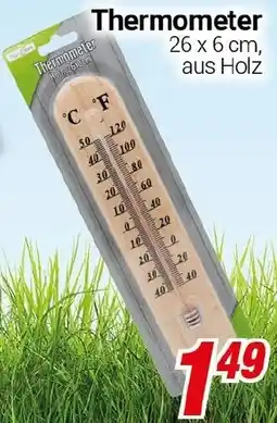 CENTERSHOP Thermometer Angebot