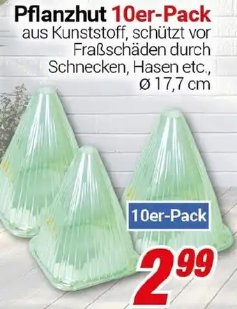 CENTERSHOP Pflanzhut Angebot
