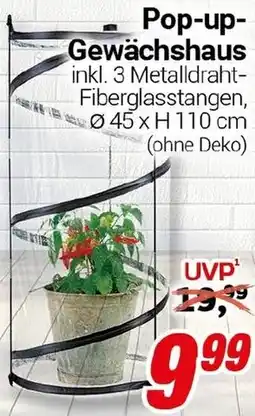 CENTERSHOP Pop-up Gewächshaus Angebot