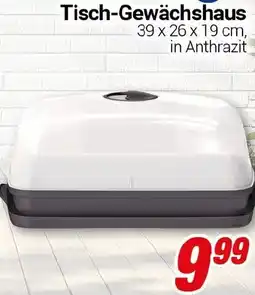 CENTERSHOP Tisch-Gewächshaus Angebot