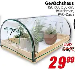 CENTERSHOP Gewächshaus Angebot