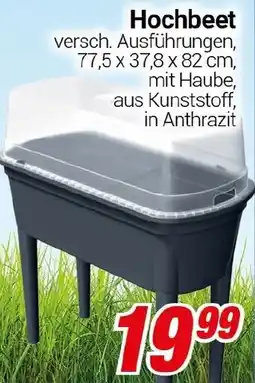 CENTERSHOP Hochbeet Angebot