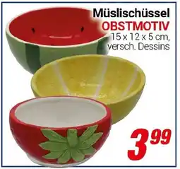 CENTERSHOP Müslischüssel OBSTMOTIV Angebot