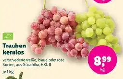 Biomarkt Trauben kernlos Angebot