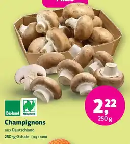 Biomarkt Champignons Angebot
