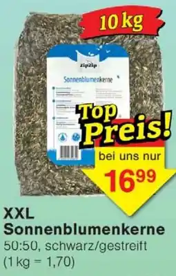 Wiglo Wunderland zipzip XXL Sonnenblumenkerne Angebot
