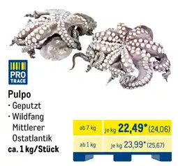 METRO Pulpo Angebot