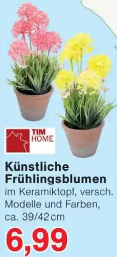 Wiglo Wunderland TIM HOME Künstliche Frühlingsblumen Angebot